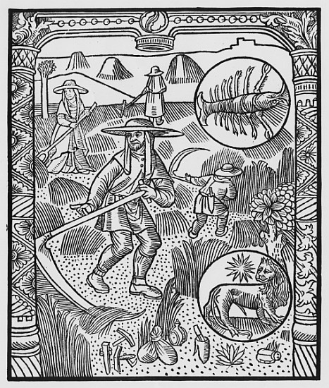 July, haymaking, Cancer, illustration from the ''Almanach des Bergers'', 1491 (xylograph) von Pierre Le Rouge
