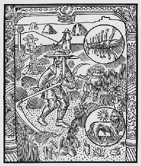 July, haymaking, Cancer, illustration from the ''Almanach des Bergers'', 1491 (xylograph)