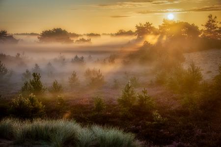 Verträumter Sonnenaufgang