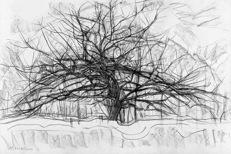Study for The Grey Tree von Piet Mondrian