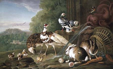 Birds and Rabbits von Pieter Casteels