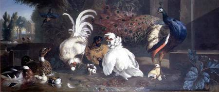 A Peacock, Chickens, Ducks and a Kingfisher von Pieter Casteels