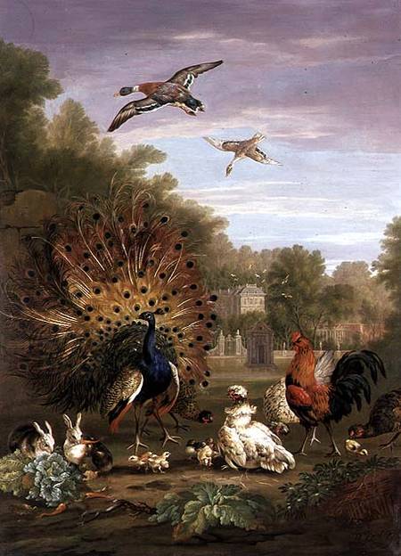 Peacock and Rabbits in a Landscape von Pieter Casteels