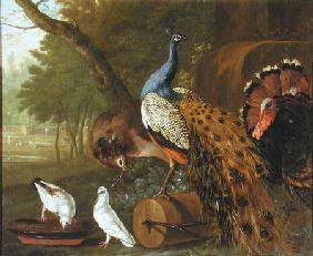 An Assembly of Birds in a Classical Park 1719