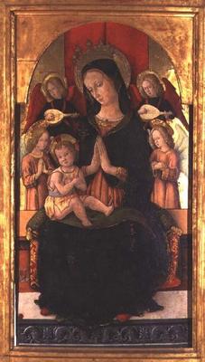Madonna and Child with Angels (tempera on panel) von Pietro Alemanny