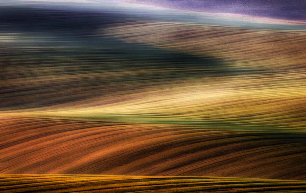 autumn fields von Piotr Krol (Bax)