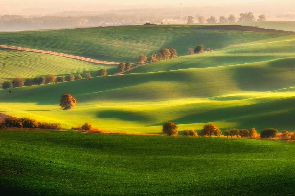 Green fields von Piotr Krol (Bax)