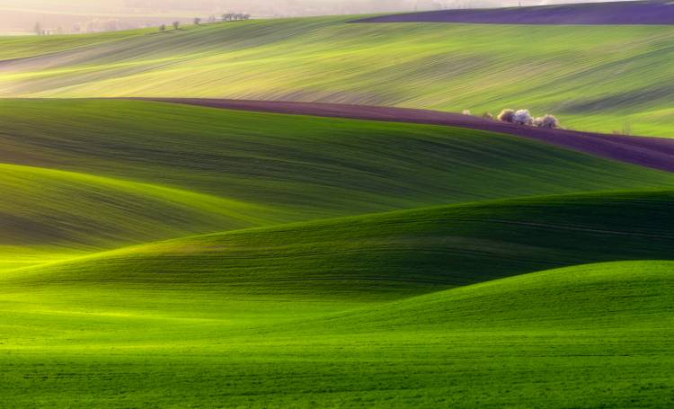 Verdant land von Piotr Krol (Bax)