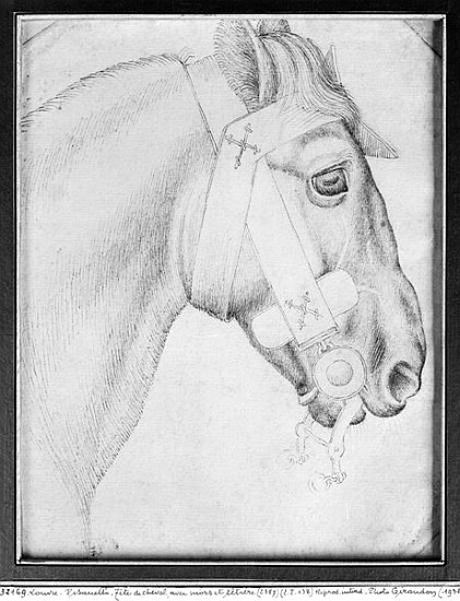 Head of a horse, from the The Vallardi Album von Pisanello