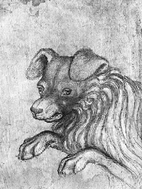 Head of a dog, from the The Vallardi Album