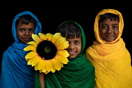 Kinderporträt mit Sonnenblume