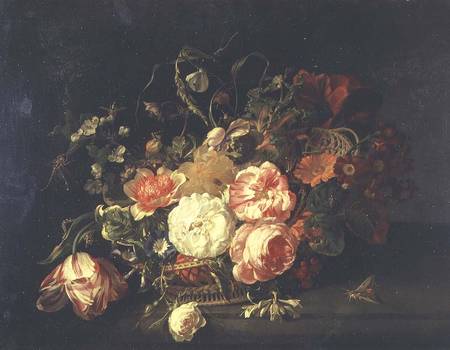 Flowers and Insects von Rachel Ruysch