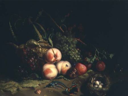 Still life with fruit (panel) von Rachel Ruysch