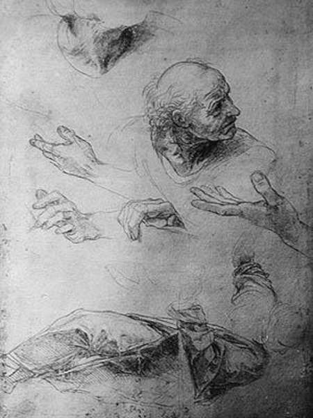 Studies for the Figure of Bramante (1444-1515) von Raffael - Raffaello Santi