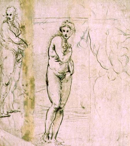 Study of Venus (pen & ink) von Raffael - Raffaello Santi