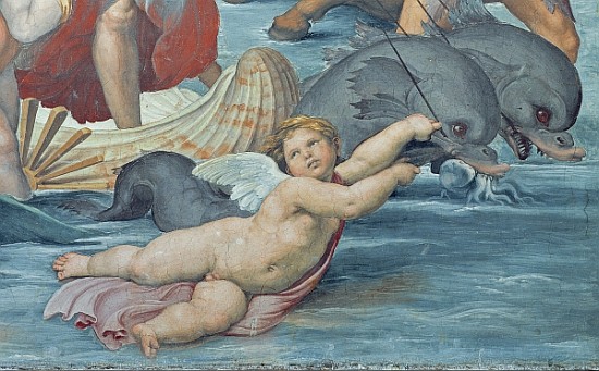 The Triumph of Galatea, 1512-14 (detail of 56473) von Raffael - Raffaello Santi