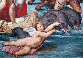 Galatea, detail of putto and dolphins 1506