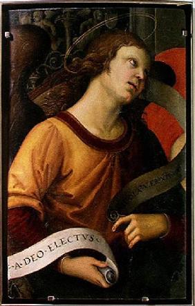 Angel, from the polyptych of St. Nicolas of Tolentino 1501