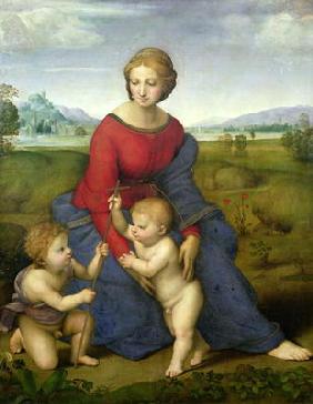 Madonna in the Meadow, 1505 or 1506 (panel)