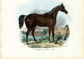 English Horse 1863-79