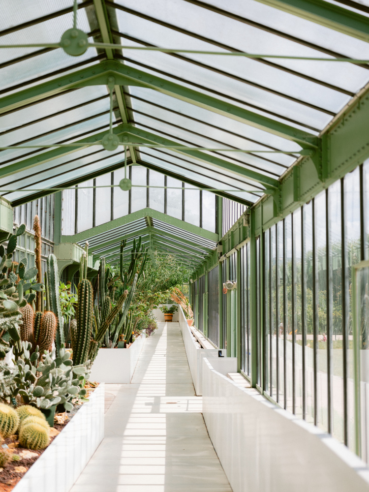 Botanischer Garten von Paris von Raisa Zwart