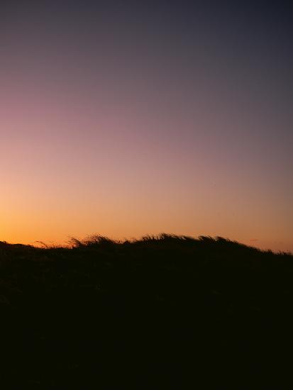 Dünengras-Sonnenuntergang