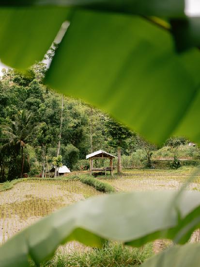 Tetebatu Lombok
