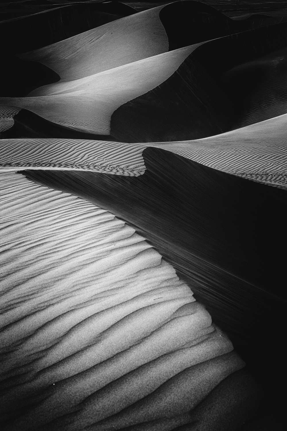 Desert light von Rami Al Adwan