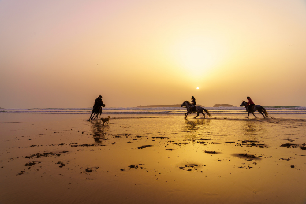 Sonnenuntergangsilhouette von Pferden und Reitern,Strand von Essaouira von Ran Dembo