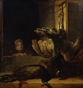 Rembrandt / Still-life with dead peacock