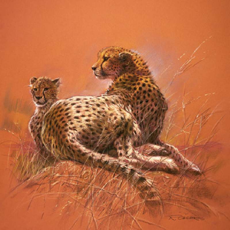 Cheetah Mother von Renato Casaro