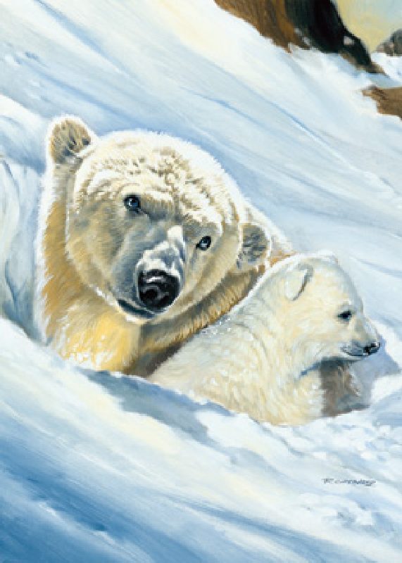 Eisbär-Mama von Renato Casaro