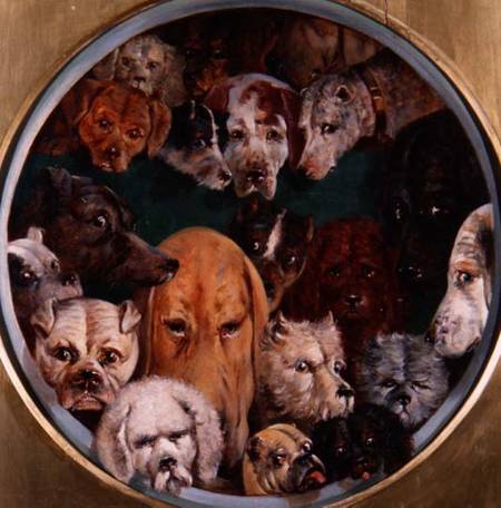 Twenty Dogs von Reuben Bussey