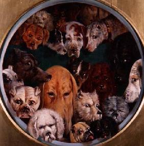 Twenty Dogs 1865