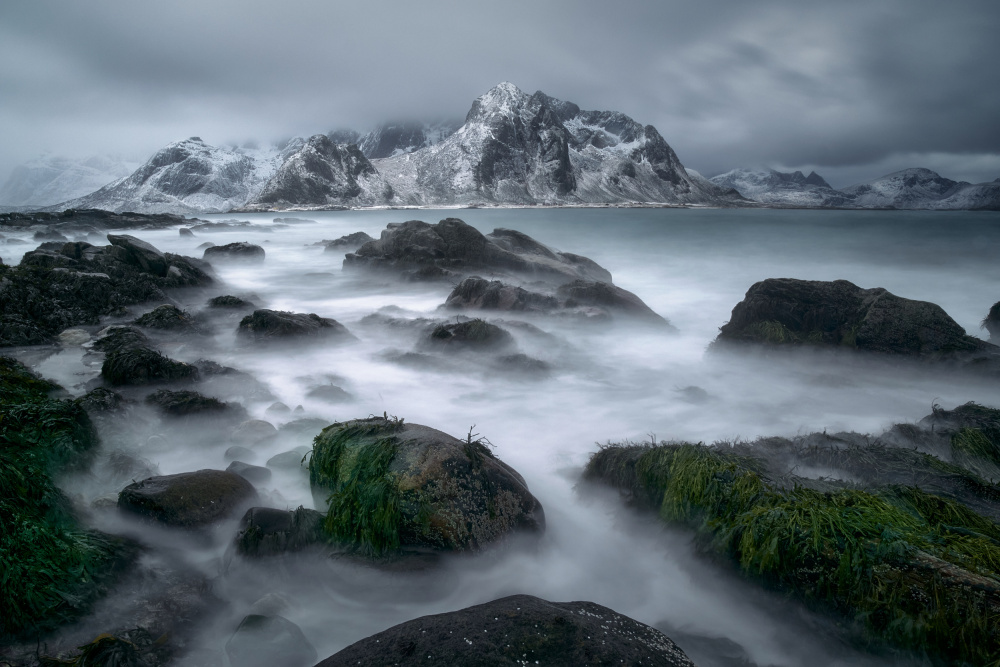 Arktis von Ricardo Gayan