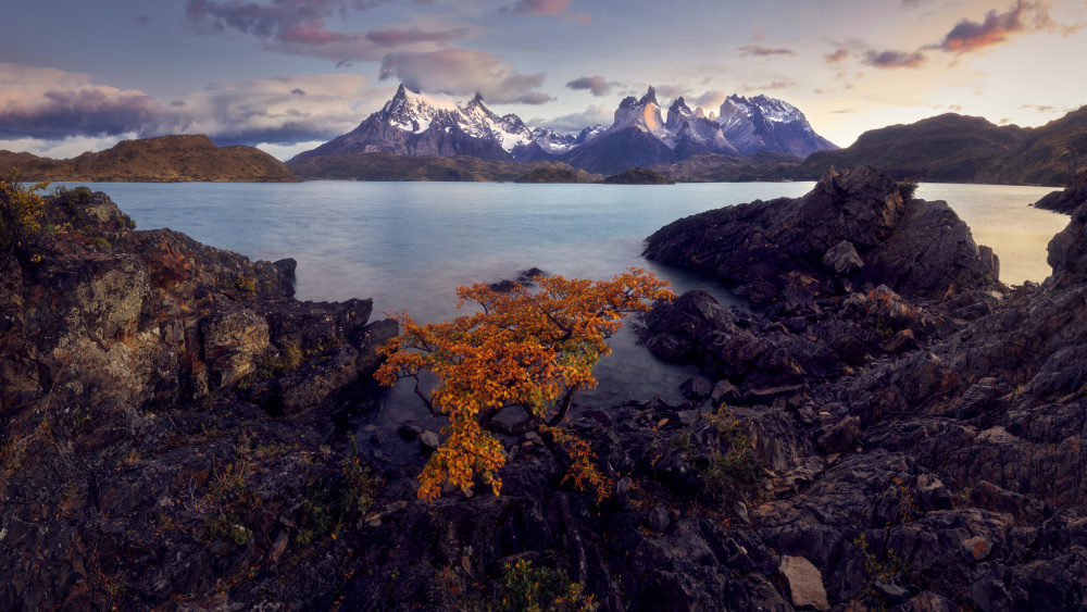 Patagonien von Ricardo Gayan