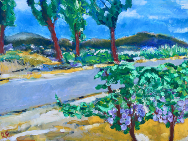 Roadside Vineyard, Napa von Richard Fox