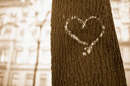 Gezeichnetes Herz auf einem Baumstamm 2013