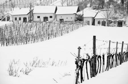 Kellergasse und Weinberg im Winter 2013