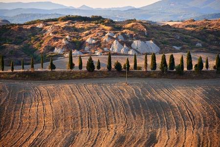 Landschaft in der Toskana mit Zypressenreihe 2016