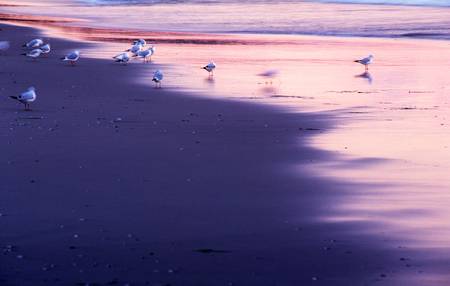 Morgendämmerung am Meer in Binz 2007