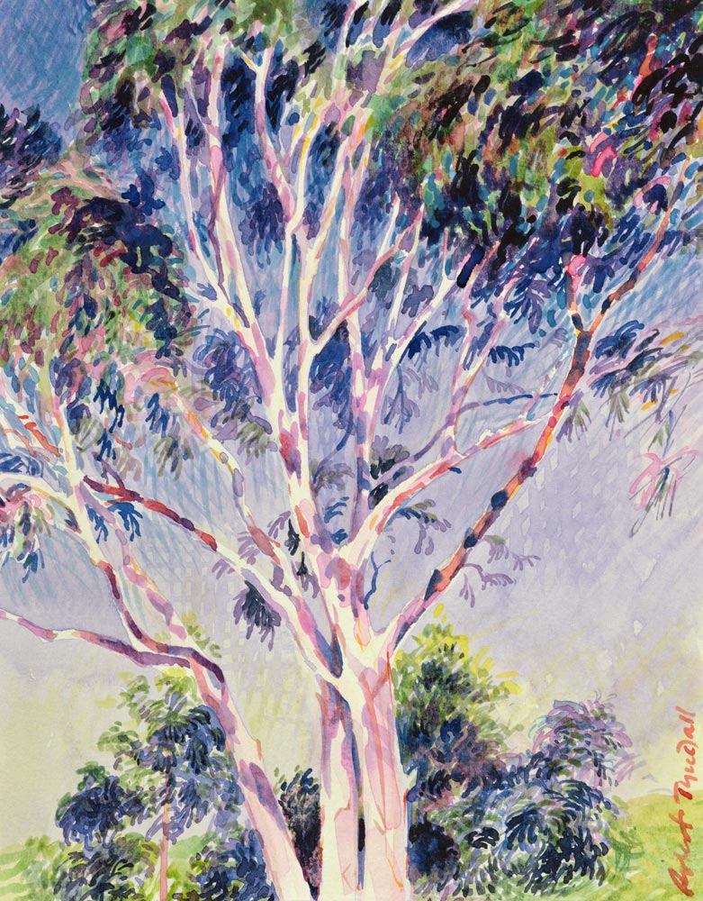 Gum Tree, Australia von Robert  Tyndall