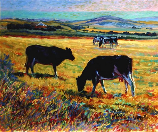 Cows on the Downs Overlooking Brighton  von Robert  Tyndall