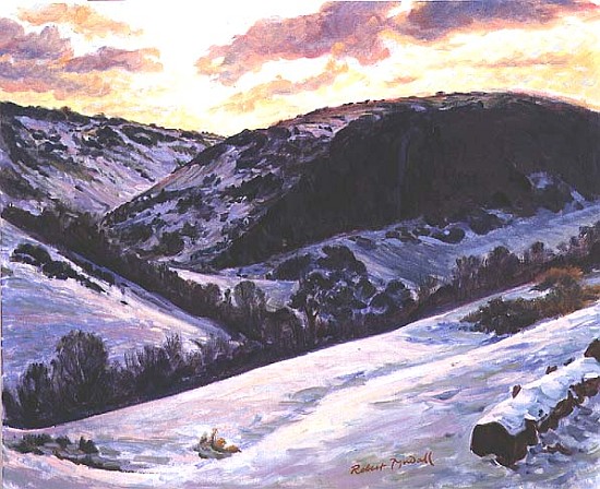 The Devil''s Dyke in Winter, 1996  von Robert  Tyndall