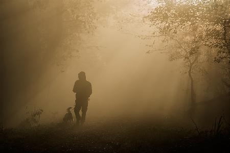 ein Spaziergang im Nebel