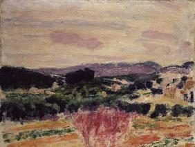 Provencal Landscape 