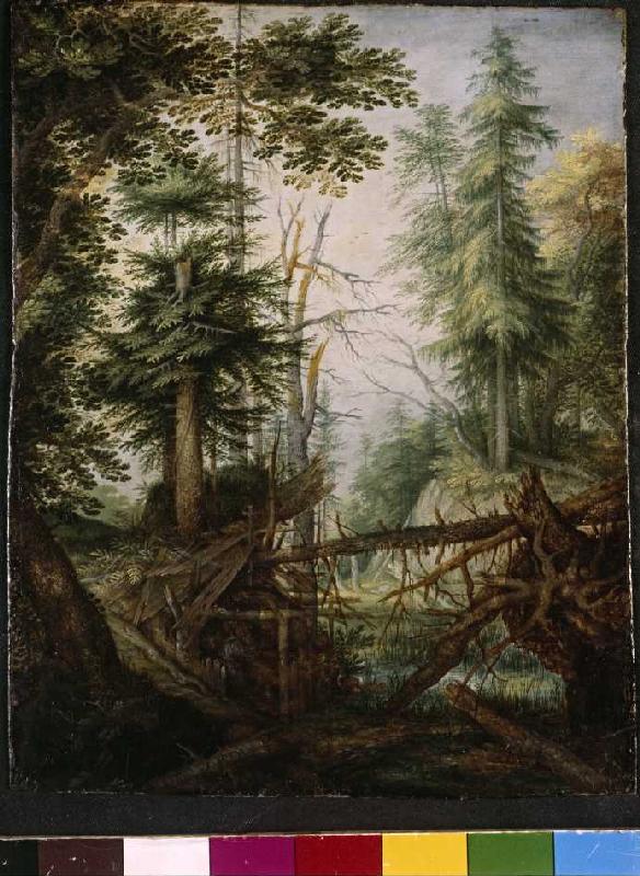 Waldlandschaft mit Eremit von Roelant Jakobsz Savery