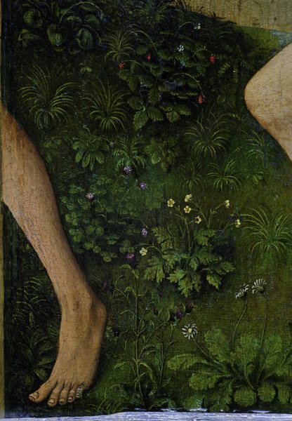 R.v.d. Weyden, Plants and flowers von Rogier van der Weyden