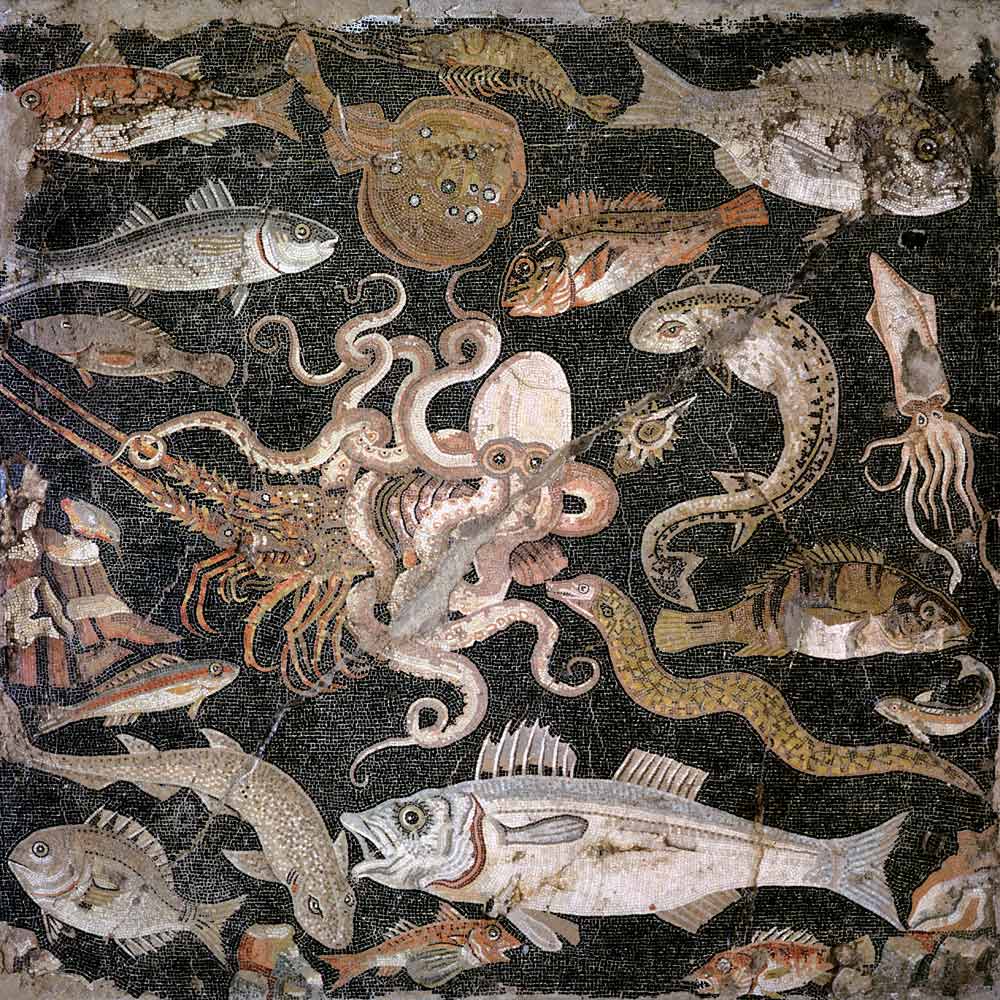 Undersea creatures von Roman