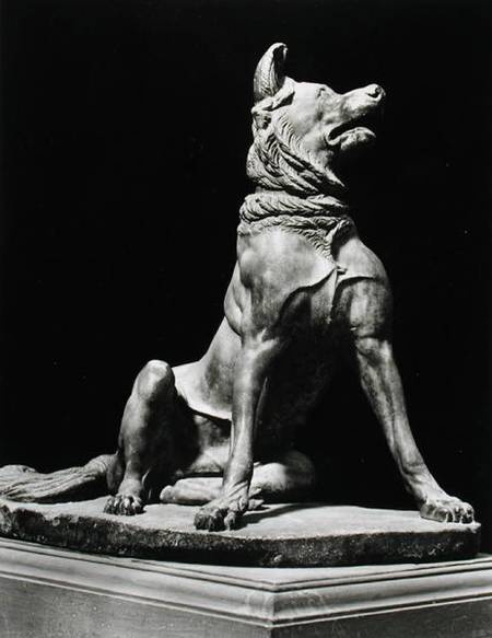 Bull Mastif Dog von Roman